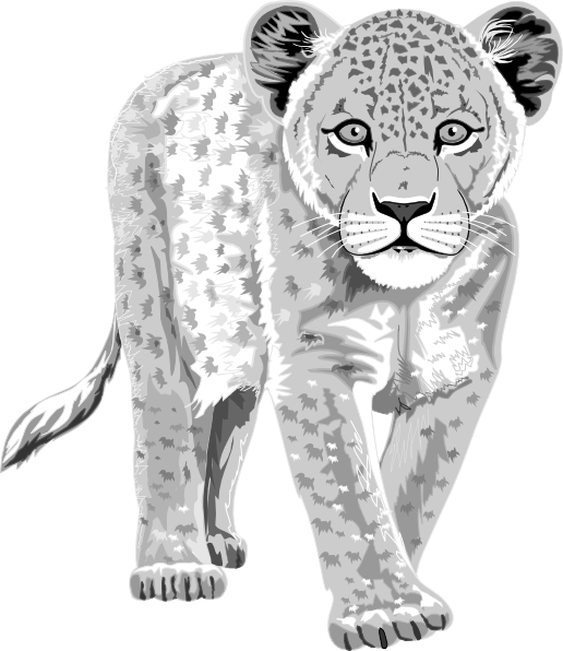 Leopard Clip Art At Clker Com   Vector Clip Art Online Royalty Free