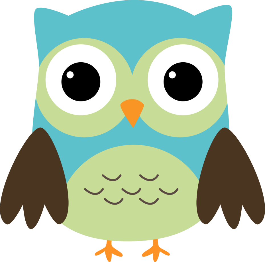 Math Owl Owls