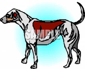 Service Dog   Royalty Free Clipart Picture