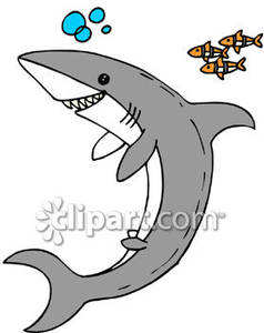 Smiling Grey Shark Royalty Free Picture Clipart
