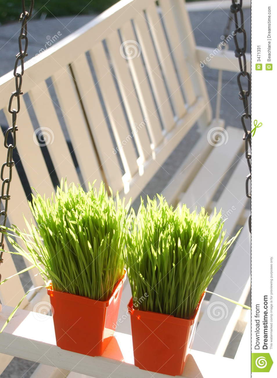 White Porch Swing With Grass Stock Image   Image  3471331