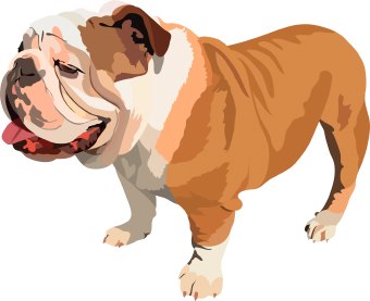 Clip Art Of A Bulldog 