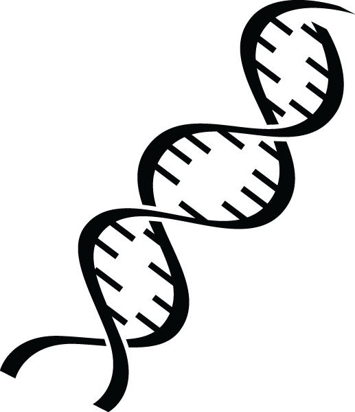 Medical Double Helix Dna Clip Art For Custom Products