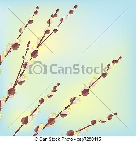 Vector   Pussy Willow Branches   Stock Illustration Royalty Free