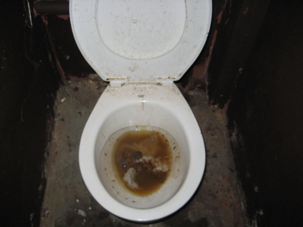 All Sizes   Dirty Toilets In South African School   Flickr   Photo