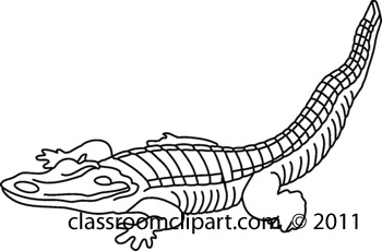 Animals   711 Alligator 22bw   Classroom Clipart