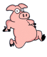 Animation Of Pig Looking At You Blinking It S Eyes Clip Art Of P Ig