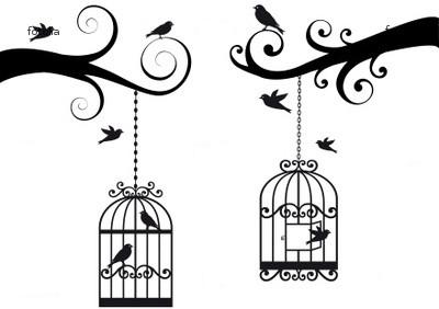 Cages Aux Oiseaux   Page 2