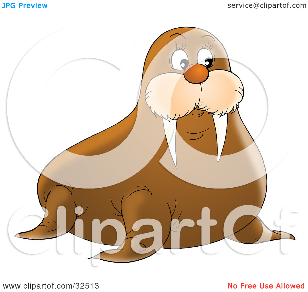 Clipart Illustration Of A Cute Brown Walrus With Short But Sharp Tusks
