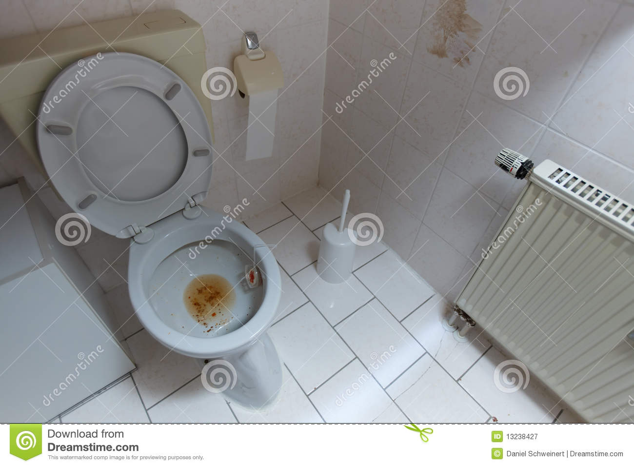 Dirty Toilet Royalty Free Stock Photography   Image  13238427