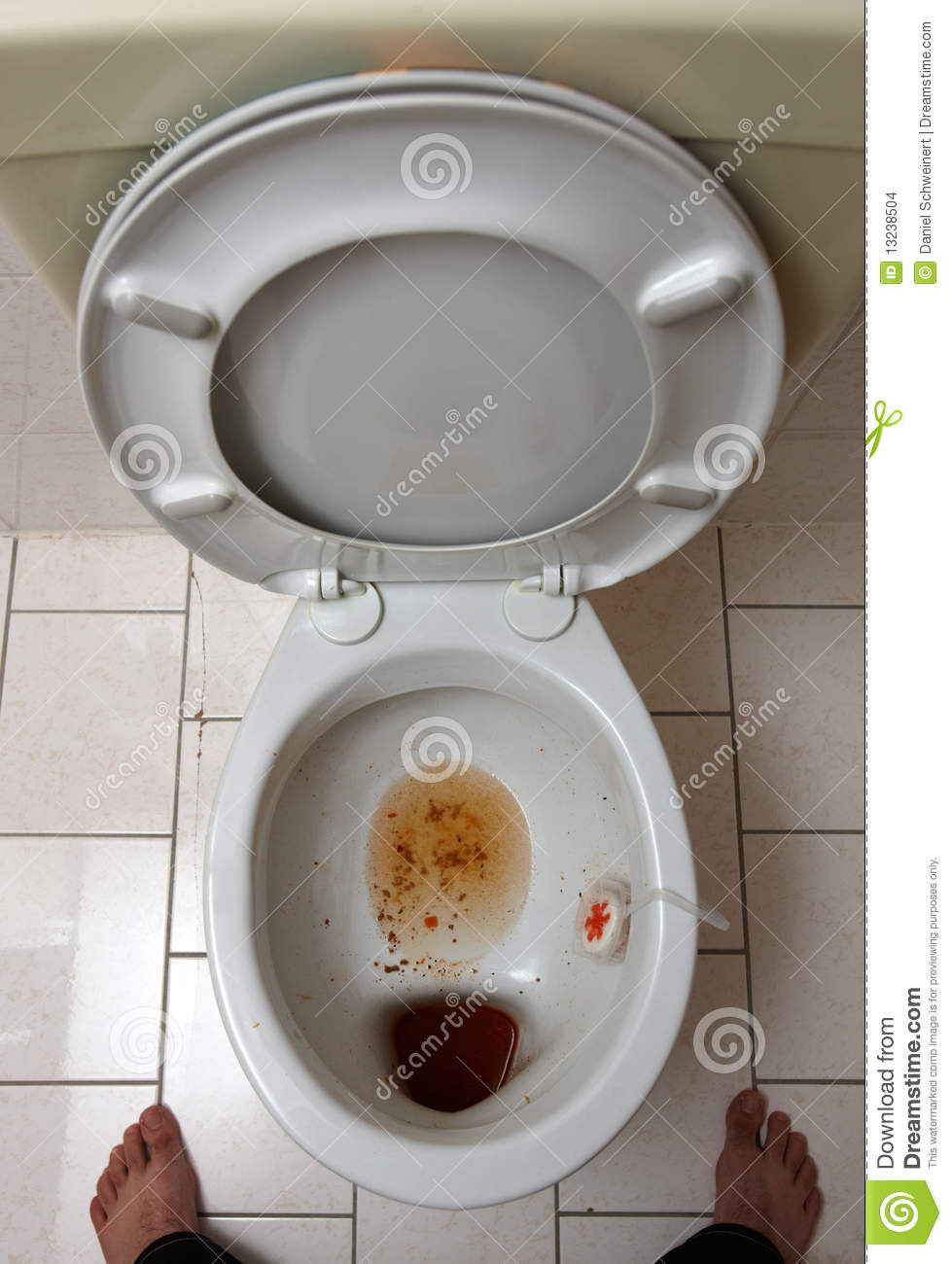 Dirty Toilet Stock Images   Image  13238504