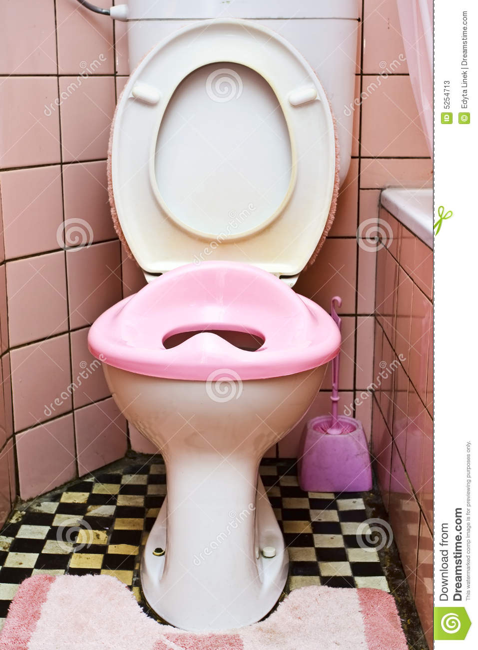 Dirty Toilet Stock Photos   Image  5254713