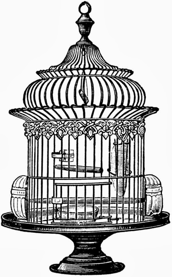 Free Vintage Bird Cage Clip Art Clip Art Vintage Bird Cage