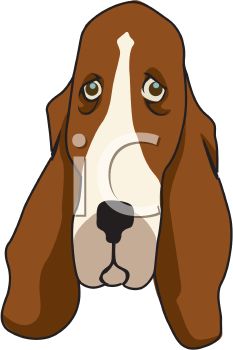 Sad Face Of A Basset Hound Dog   Royalty Free Clip Art Picture