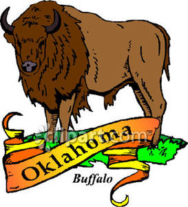 State Animal Of Oklahoma The Buffalo With Gold Banner Royalty Free