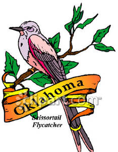 State Bird Of Oklahoma The Scissortail Flycatcher With A Gold Banner