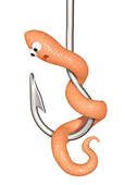 Fish Worm Hook Clipart Vector Graphics  127 Fish Worm Hook Eps Clip
