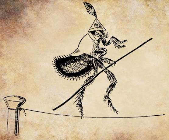 Flea Bug On Tightrope Png File Clip Art Stamp Digital Graphics Cartoon