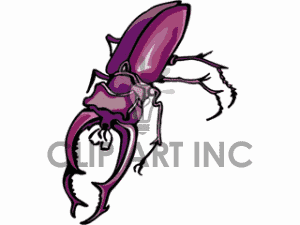 Insect Insects Bug Bugs Beetle Beetles Bug3 Gif Clip Art Animals