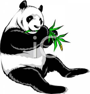 Panda Eating Bamboo Clipart Picture