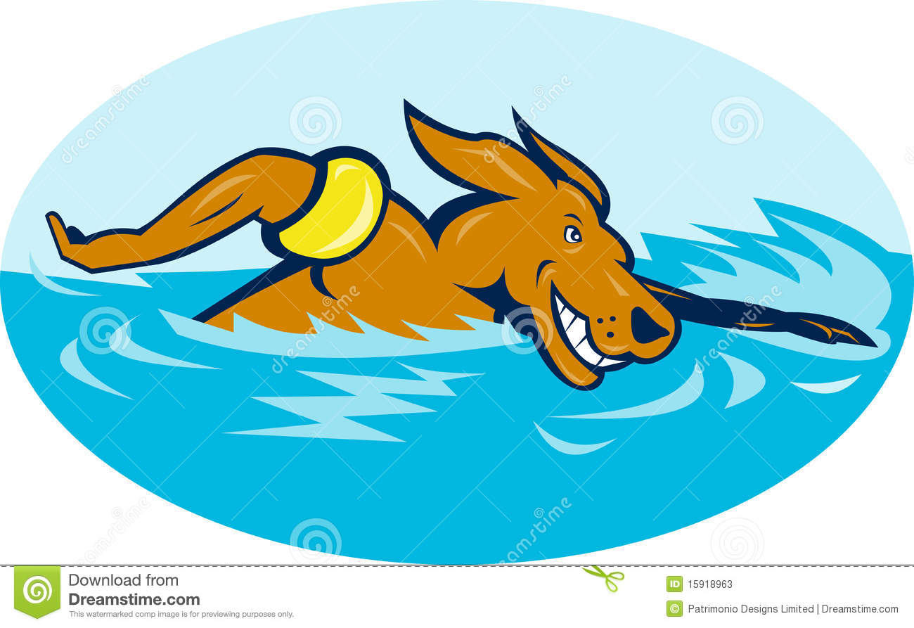 Cartoon Dog Swimming Stock Photos   Image  15918963