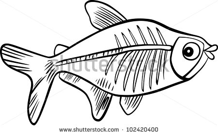Cartoon Illustration Of X Ray Fish For Coloring Book   Stock Photo