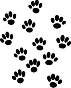 Cheetah Paw Clipart Cheetah Paws Clip Art Gl   