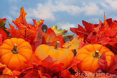 Fall Scene With Three Pumpkins On Sky Background