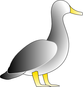 Gray Duck Landing Clip Art   Animal   Download Vector Clip Art Online