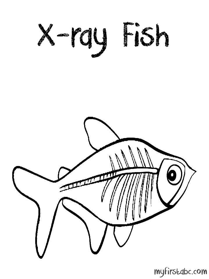 Ray Fish   X Ray Fish Coloring Page