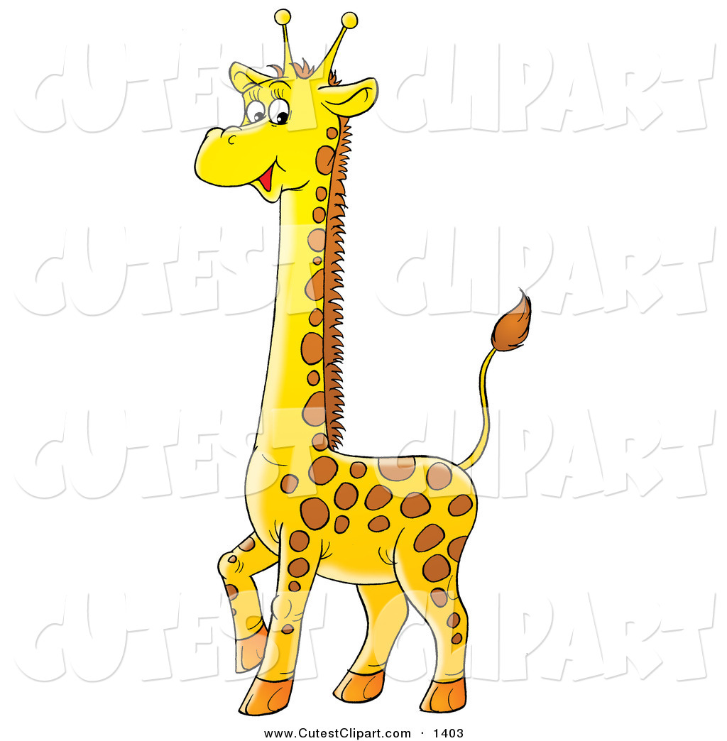 Baby Giraffe Clipart Baby Giraffe Standing With