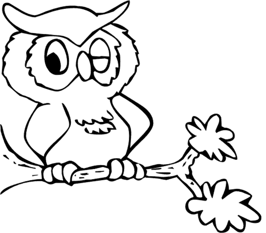 Cartoon Owl Coloring Pages   Cartoon Coloring Pages