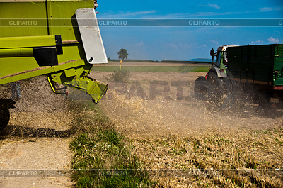 Closeup Of A Combine Harvesting Corn On A German Field  The Corn Stays