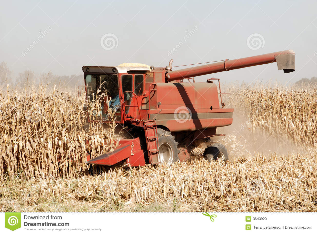 Combine And Corn Stock Photo   Image  3643920