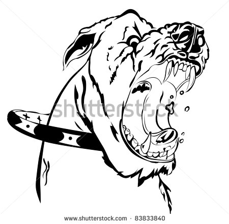 Mean Dog Stock Photos Images   Pictures   Shutterstock