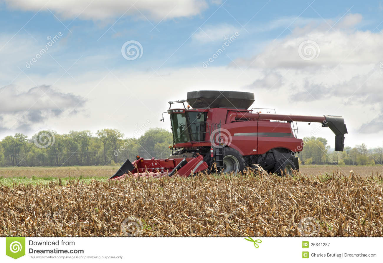 Red Combine Picking Corn From A Corn Field