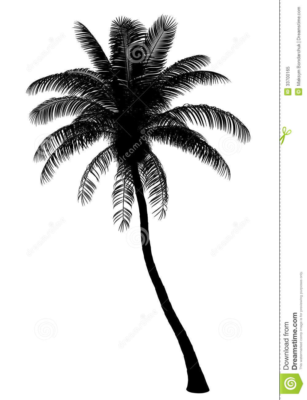 Silhouette Of Coconut Palm Tree Isolated On White Royalty Free Stock
