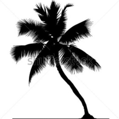     Source File Browse   Nature   Silhouette Coconut Tree In Vector