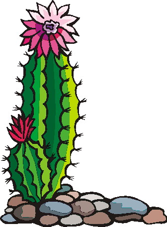 Clip Art   Cactus Clip Art