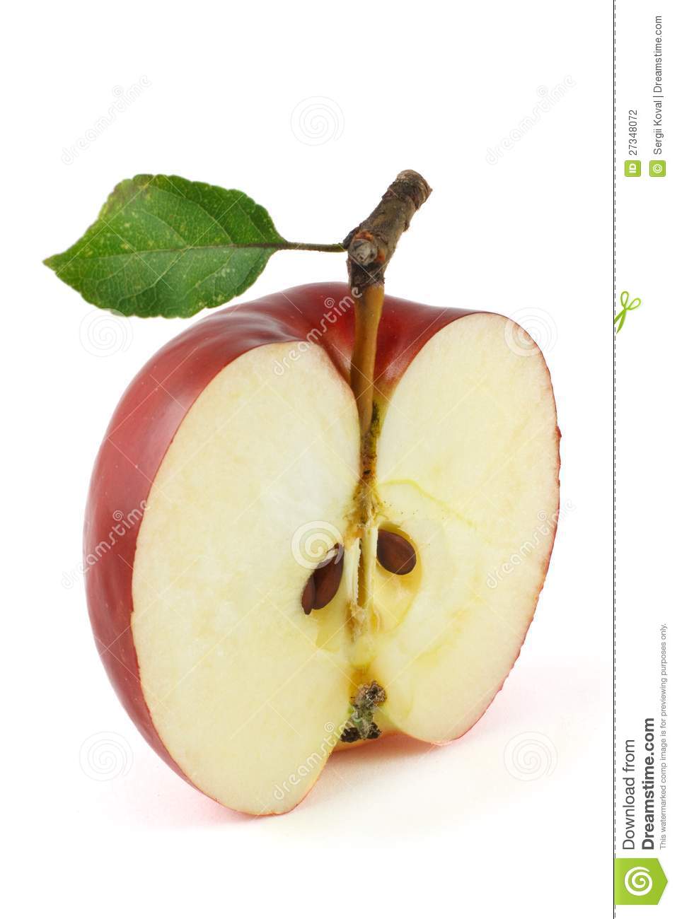 Half Of Red Apple Stock Photography   Image  27348072