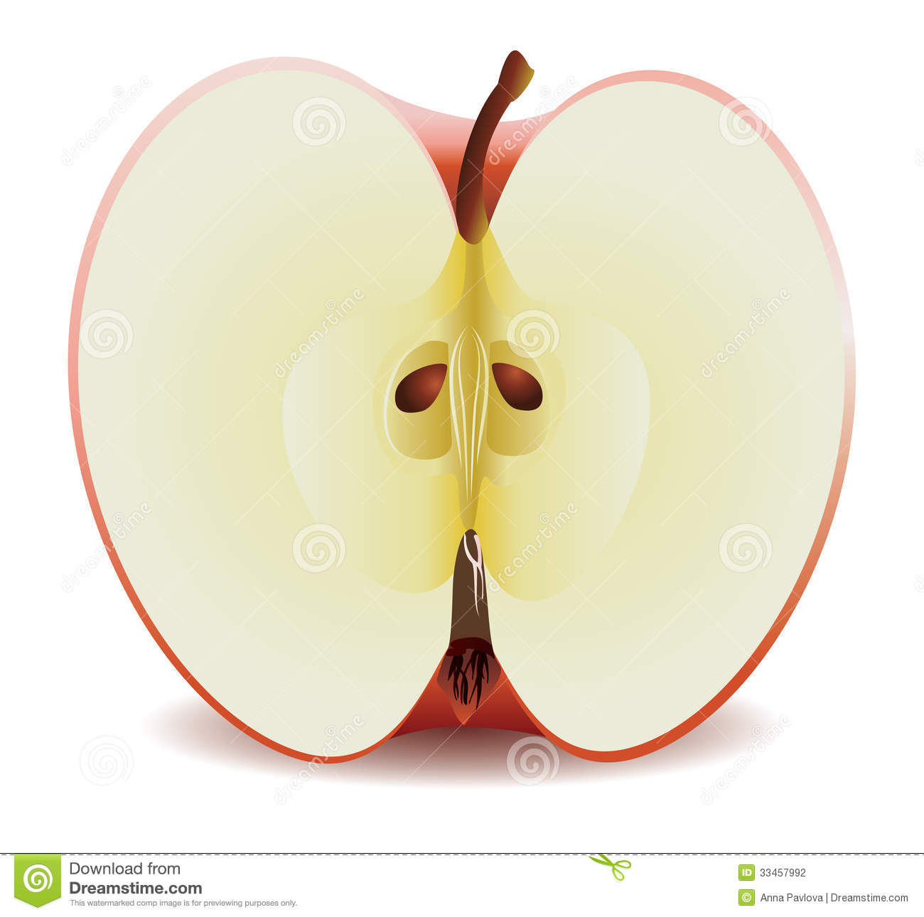 Half Red Apple Stock Photography   Image  33457992