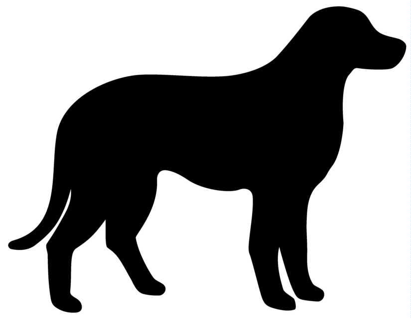 Lab Dog Outline Catjpeg Blackdogjpg Clipart   Free Clip Art Images