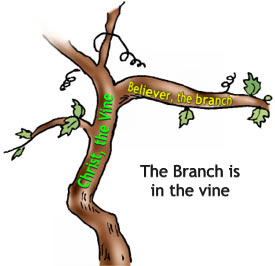 Am The Vine You Are Branches Clipart   Free Clipart