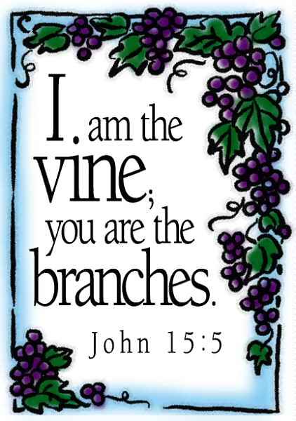 Am The Vine You Are The Branches  John 15 5 Color