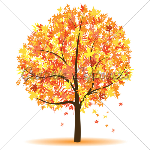 Autumn Tree Losing Its Leaves