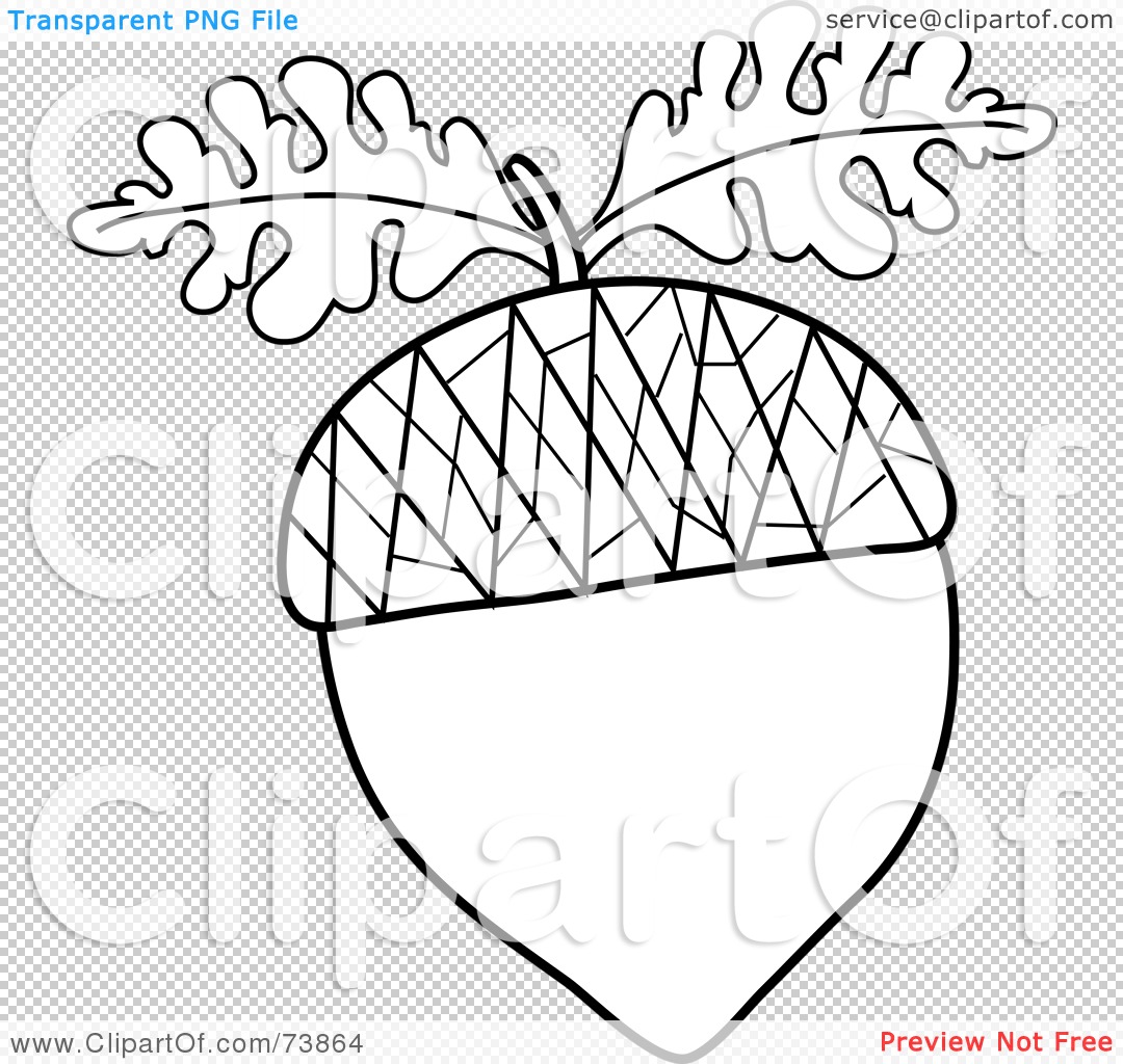 Free  Rf  Clipart Illustration Of A Black And White Acorn Outline