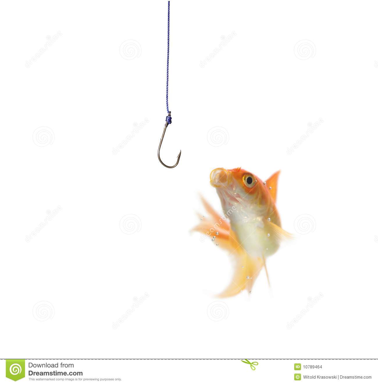 Gold Fish And Empty Hook Stock Images   Image  10789464