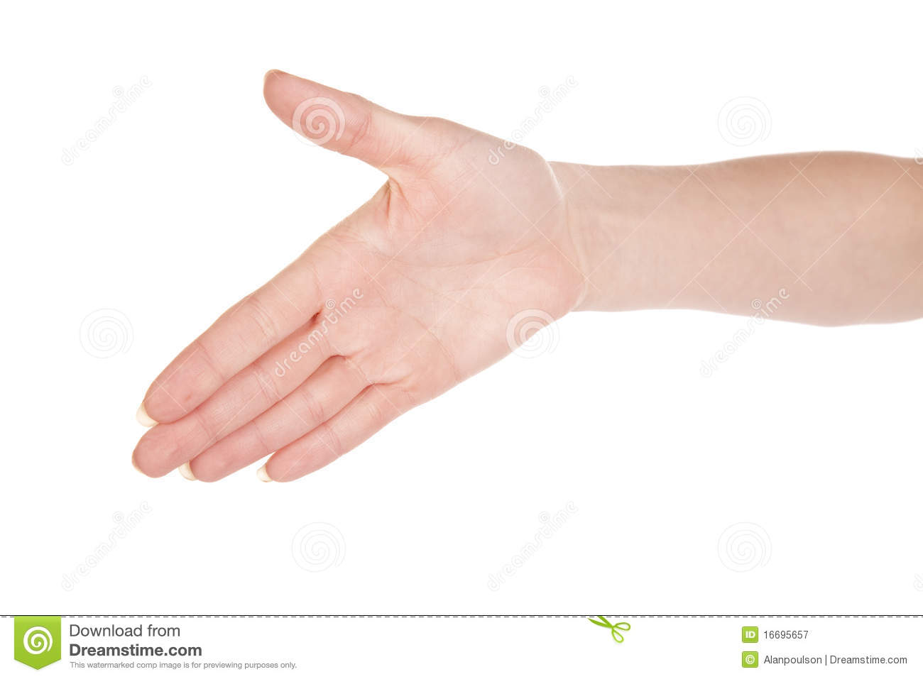 Hand Is Reaching Out So It Can Shake Hands 