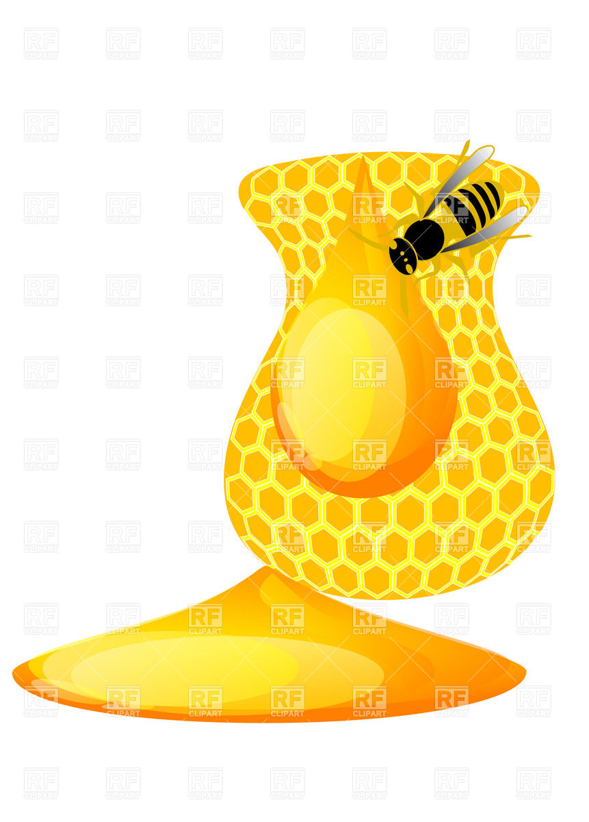 Honey Bee And Honeycomb Isolated On White Background 25422 Download    