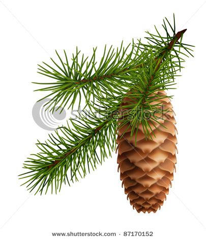 Image Detail For  Pine Cone With Branch Vector Clip Art Picture
